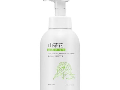Exfoliating Facial Cleanser – De
